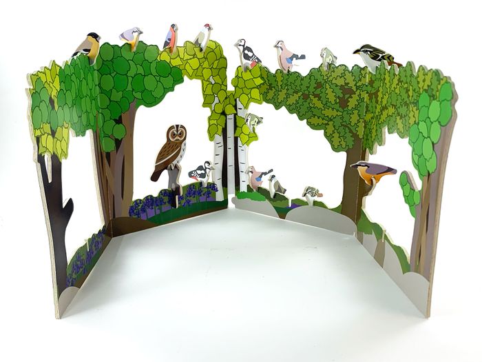 RSPB Woodland Birds