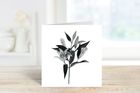 Lillies Greeting Card
