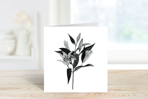 Lillies Greeting Card