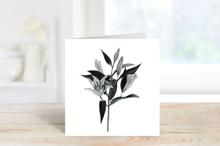 Lillies Greeting Card