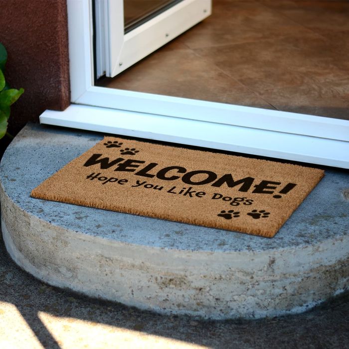 'Novelty' Coir Doormats 60 x 40cm
