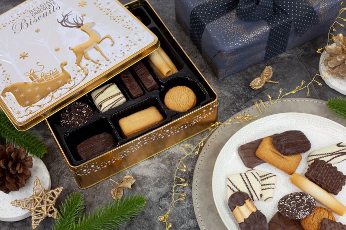 Magical Reindeer and Sleigh Square