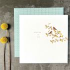 Brand New Primrose Hill Large Range