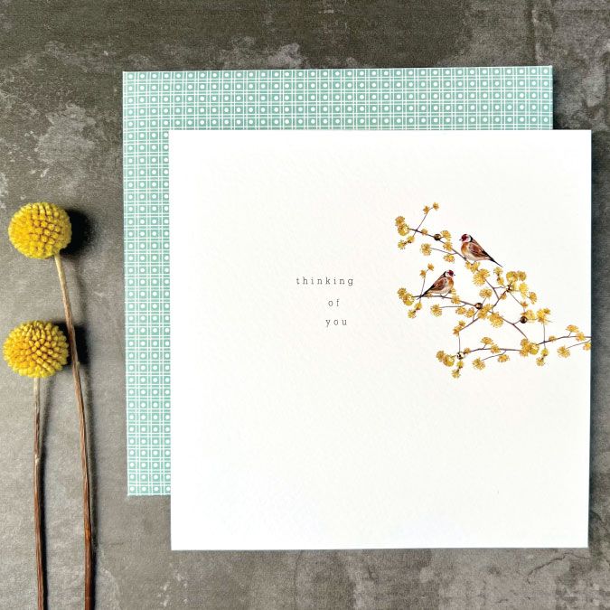 Brand New Primrose Hill Large Range