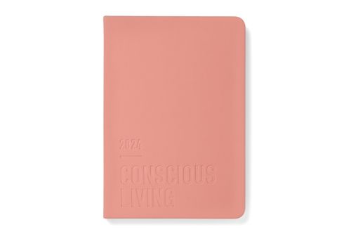 Letts of London Full Year DTP Diary - Conscious - Clay (A6)