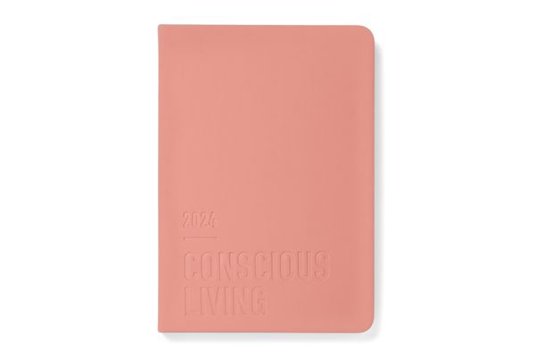 Letts of London Full Year DTP Diary - Conscious - Clay (A6)