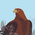 New Birds: Eagle