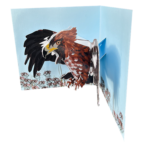 New Birds: Eagle