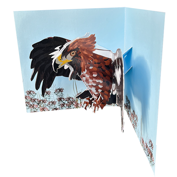 New Birds: Eagle