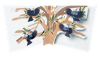 New Birds: Blue Tits