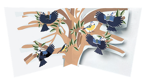 New Birds: Blue Tits