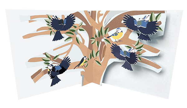 New Birds: Blue Tits