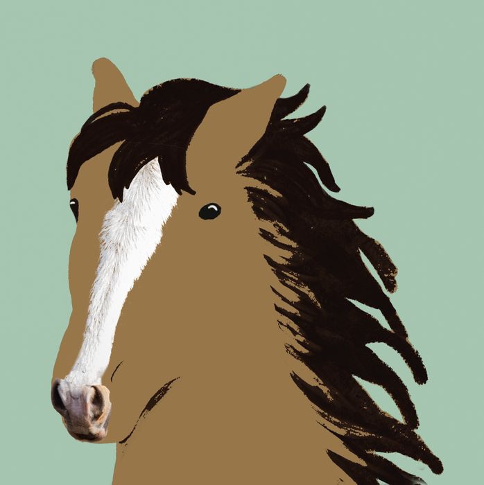 Farm Animals: Horse