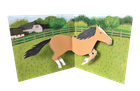 Farm Animals: Horse