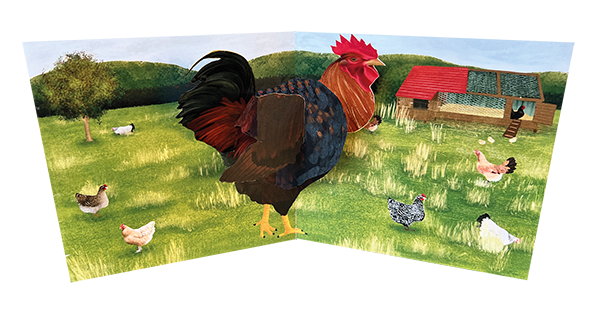 Farm Animals: Rooster