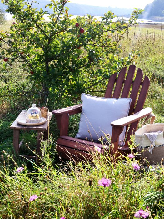 Adirondack Chairs