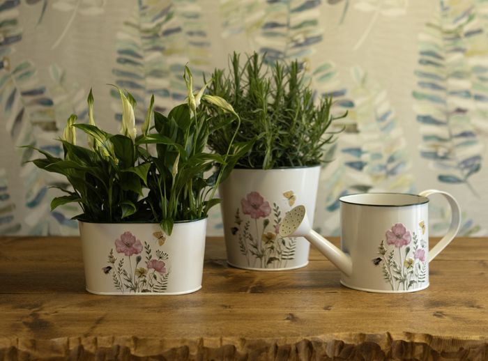 New for SS25 - Planters