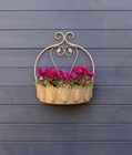 New for SS25 - Planters