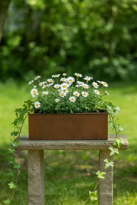 New for SS26 - Planters