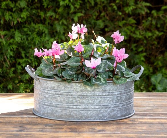 New for SS24 - Planters