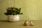 New for SS25 - Birds & Animals