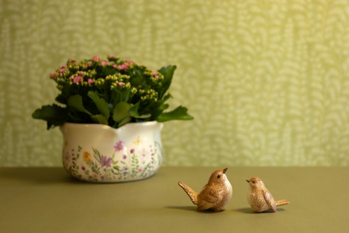 New for SS25 - Birds & Animals