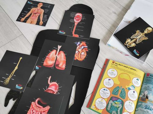 Our Bodies Inside & Out | Complete Human Anatomy Biology Learning Set – Major Organs, Body Parts & Skeletal System