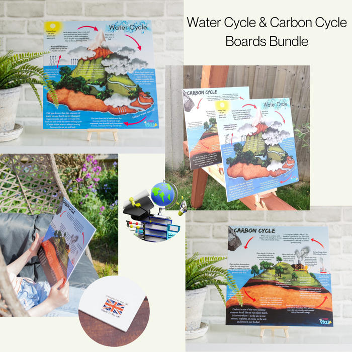 Portable Educational Poster Boards + Free Wooden Tripod Stands