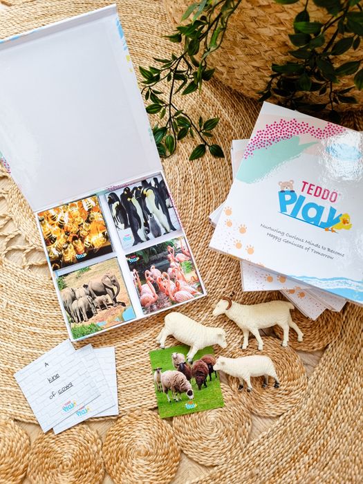 Names of Groups - Collective Nouns Literacy & Early Numeracy Set | Vocabulary Builder