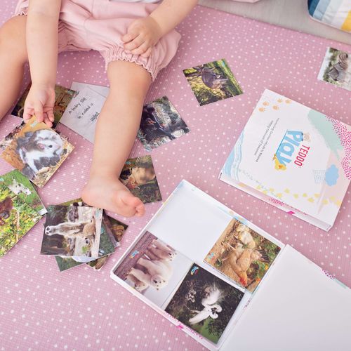 Animals & their Young Ones Literacy & Vocabulary Builder