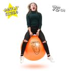 'Giant Retro' Space Hopper for Adults