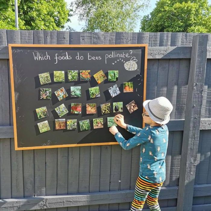 Where our Food Grows? (Lesser-known Food Facts Edition)
