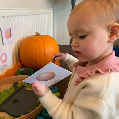More Than Just Shapes! 2D & 3D Shapes Learning Kit with Properties and Facts Visual Learning Spatial Awareness Educational Gift