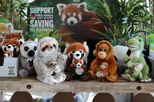 Nature Planet Red Panda Network Range