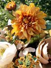 Blooming Decoration Flowers