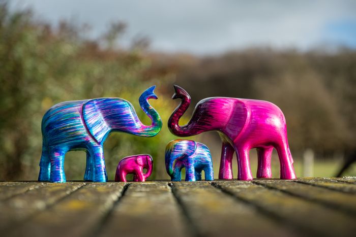 AluminArk Elephant Collection