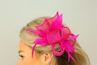 Fascinator