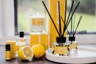 The Wellbeing Collection
