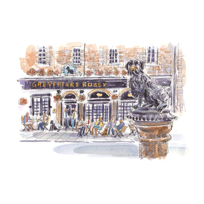 Edinburgh Coasters