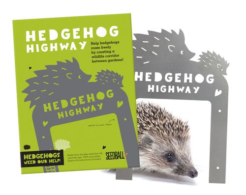 Hedgehog Highway (Cost £5, RRP £12)