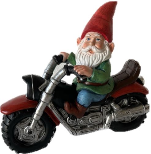 Grandpa Gnome