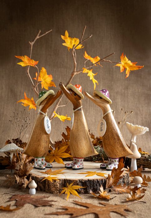 DCUK Autumn Ducklings