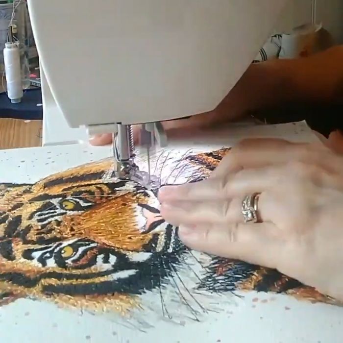 'Into the Wild' Collection - Animal Art