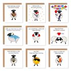 'Hey EWE' Sheep Collection