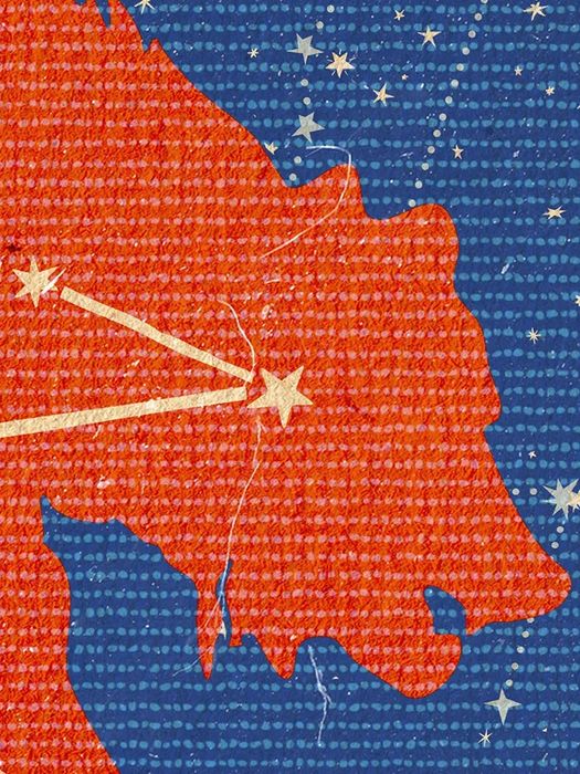 The Great Bear - Poster print