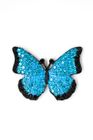 Diamante Magnet