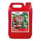 Tomato Feed