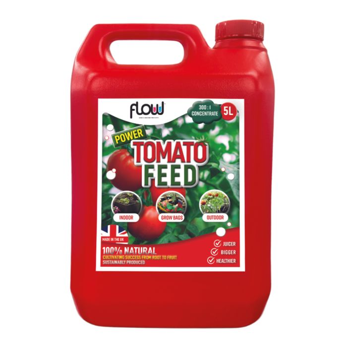 Tomato Feed