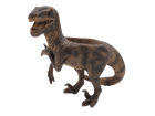 DINOPLANTERS