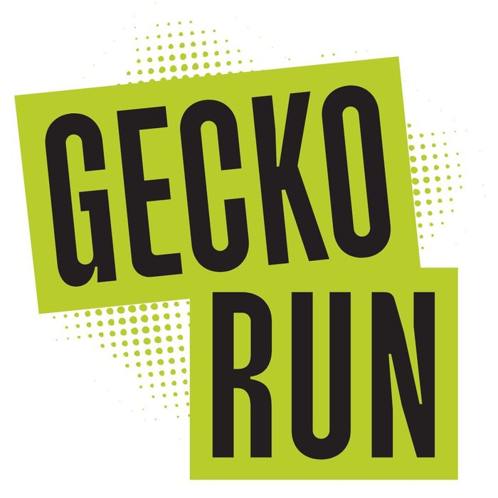 Gecko Run: Marble Run Spinners Expansion Pack